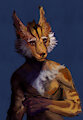 Fennec.