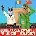 Eliberarea Rom&acirc;niei