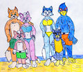 Beach Anthro Families