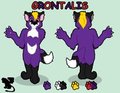 Old Ref Sheet. by GronV3