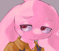 Exhaustion