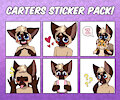 Sticker Pack - Carter