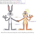 MPA body chart for Bugs Bunny and Lola Bunny