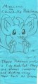 Minccino drawing