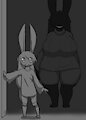 Umbra and Vantablack