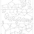 Organic Perspective 1