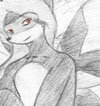 Buttercoon Nori 