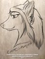 Ossiande Headshot by blindcoyote by Eirene