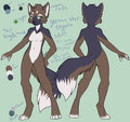Canine Design