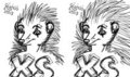 Quick Sketch of XS