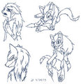 The Neverending Doodles - MPD