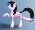 Fancy Virtuosa
