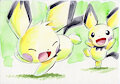 The Pichu Bros
