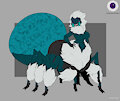 Jumping Spider Adopt-CLOSED