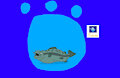 F is for Fish : Fish (Ollie's Pack)