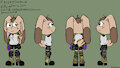 Flecky's ref sheet by ChillStoner