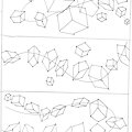 Organic Perspective 2