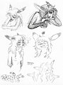 various Vitses...