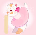 Miff’s Ballet Practice