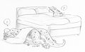 I get to have two beds