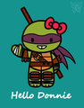 TMNT: Hello Donnie