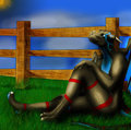 Peace and Quiet