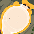 Plains