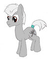 Pony OC: Silvertip