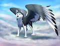 In Memory Of Shadow