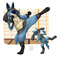 Kigu - Lucario