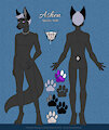 [com] Ashen Ref