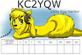 Rascal QSO card