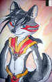 Grey Fox Boy
