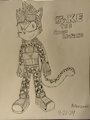Jake The Snow Leopard!