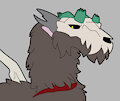 Raffle arts