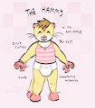 the hammy