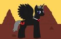 Drago Whooves