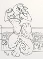 Rough the Roo