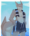 Shark quick sktetch