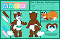 Babyfur Ref Sheet by FennecFollie587