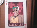 Convention badges