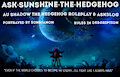 Sunshine Ask/RP Blog Promo