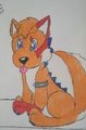 That's a good yoshi wulf