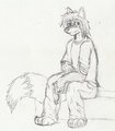 new look by armoredvulpine