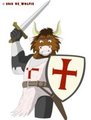 Crusader Sacred - CF2013 Badge