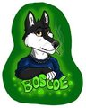 Boscoe Badge