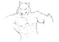 The Hero(Sketch)