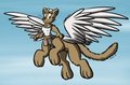 Catprog by Virmir