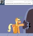 Applejack 005 Questions: 3