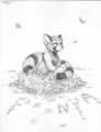 FCN 2013- Poonya by Dreamkeepers